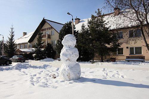 Hotel**Pieniny Niedzica Экстерьер фото
